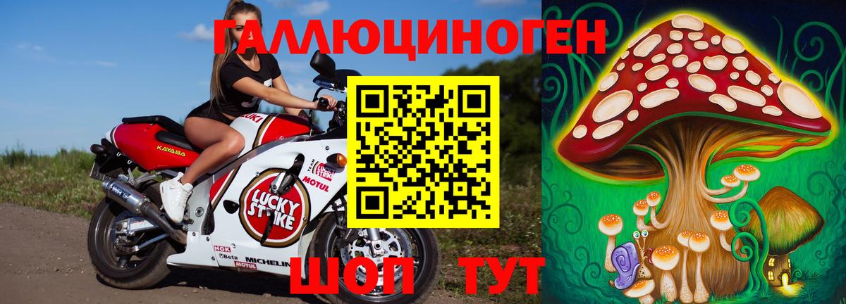 Галлюциногенные грибы Psilocybe  Вход с VPN  Чебоксары 